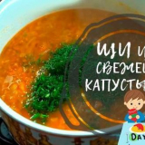 Jak vařit zelnou polévku z čerstvého zelí? Klasické recepty na polévky